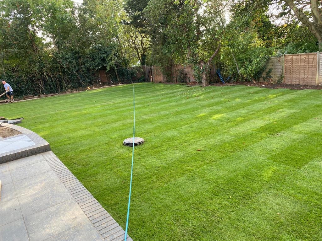 Freshly mowed backyard lawn with sprinkler hose